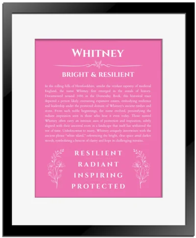 Whitney personalized name print with origin and traits in pink with black matte frame