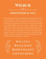 Wilbur name meaning gift print in orange