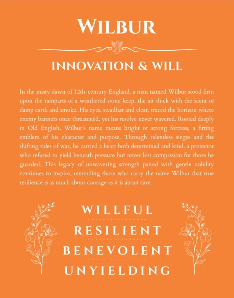 Wilbur name meaning gift print in orange