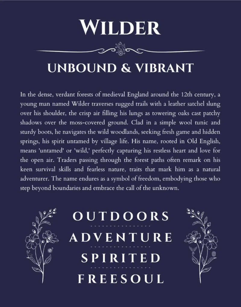 Wilder name meaning gift print in navy blue