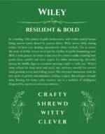 Wiley personalized name meaning print in dark green