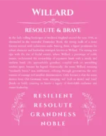 Willard personalized name meaning print in pink