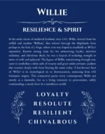Willie name origin print with meaning and traits in deep blue
