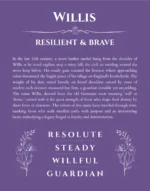 Willis name meaning gift print in purple