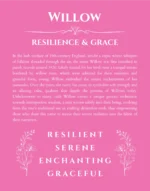 Willow name meaning wall art by Get Your Story in pink