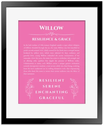 Willow name meaning wall art by Get Your Story in pink with black matte frame