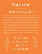 Winslow name meaning gift print in orange