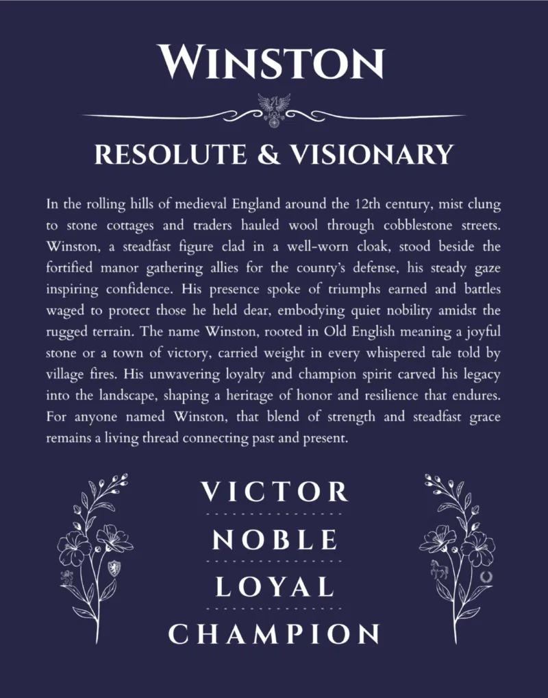 Winston personalized wall art with the story of your name in navy blue