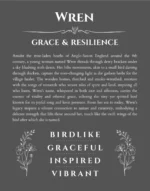 Wren custom name meaning print in gray