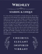 Wrenley personalized name meaning print in navy blue