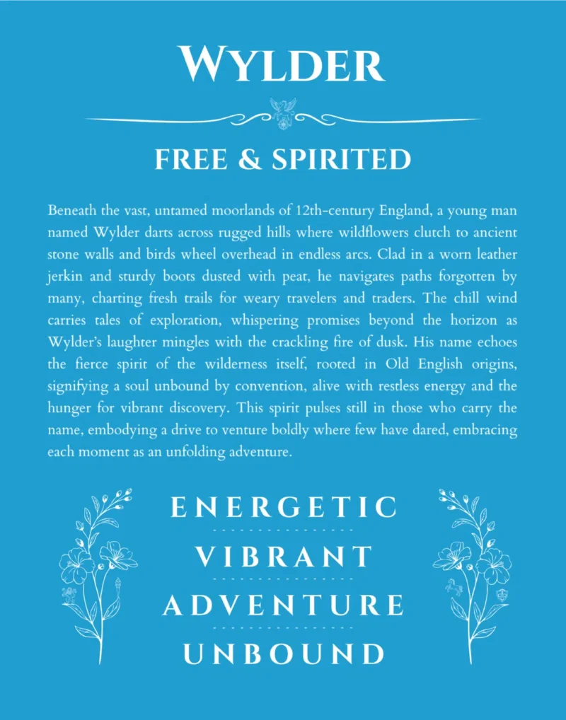 Wylder name origin print with meaning and traits in blue