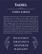 Yadiel name meaning gift print in navy blue