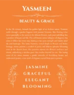 Yasmeen name meaning gift print in orange