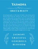 Yasmina personalized wall art with the story of your name in blue
