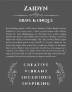 Zaidyn name meaning gift print in gray