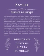 Zaylee custom name meaning print in purple