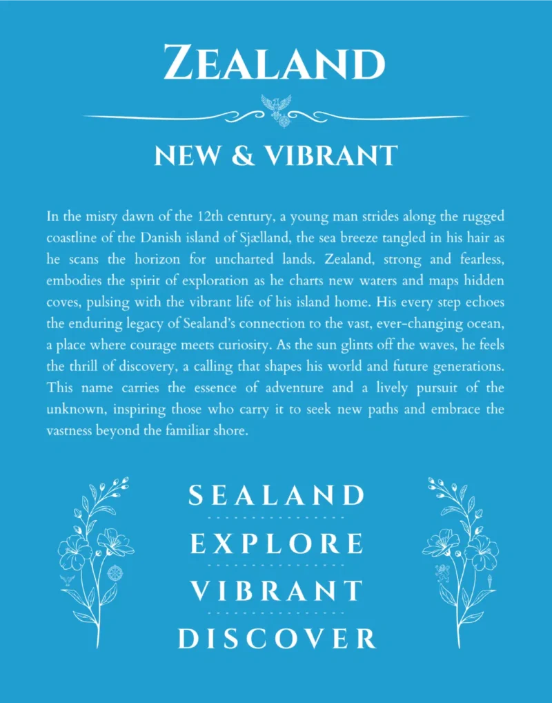 Zealand name meaning wall art by Get Your Story in blue