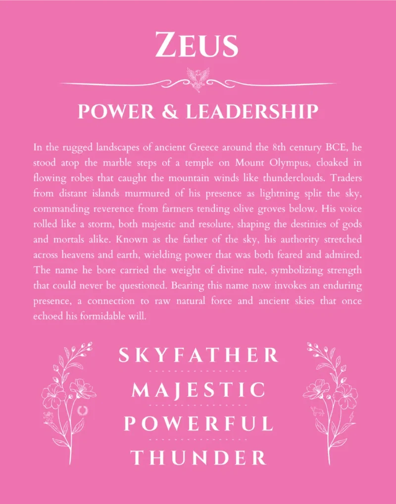 Zeus name meaning wall art by Get Your Story in pink
