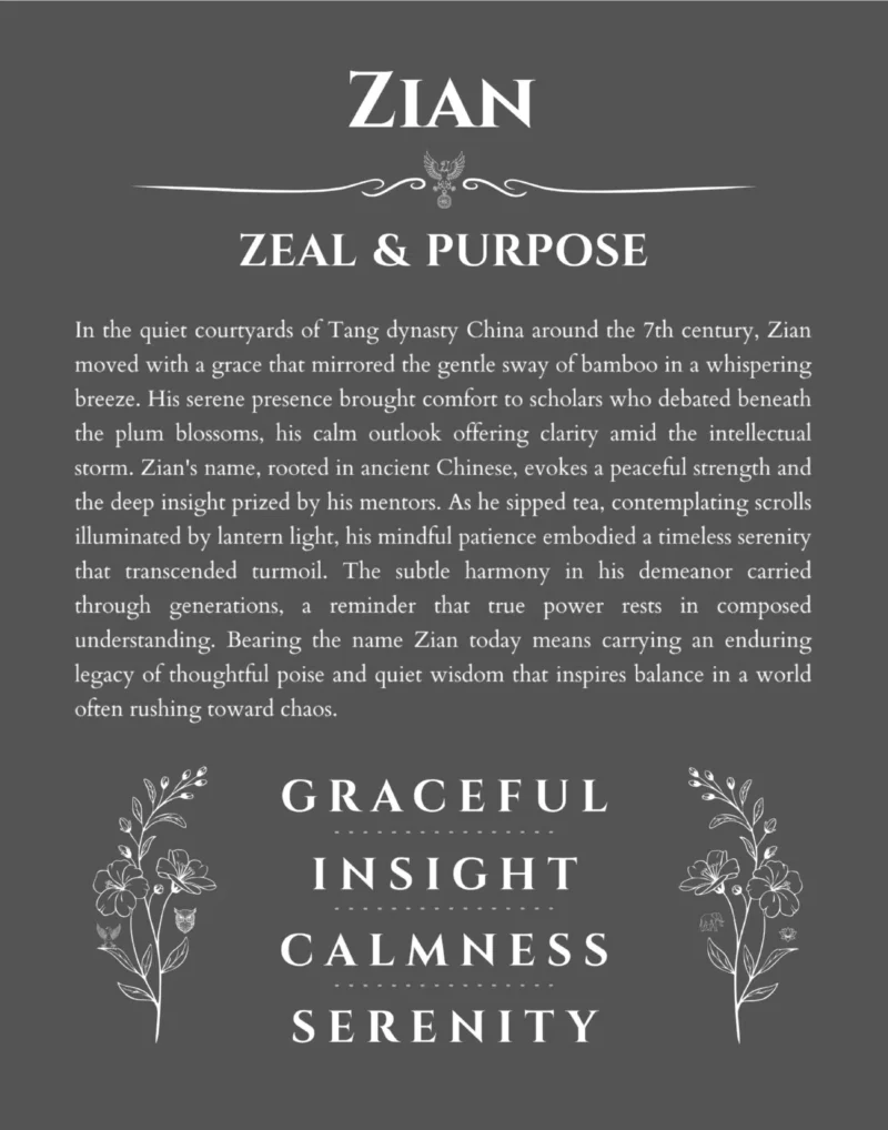Zian personalized wall art with the story of your name in gray