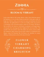 Zinnia custom name meaning print in orange