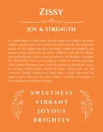 Zissy personalized wall art with the story of your name in orange