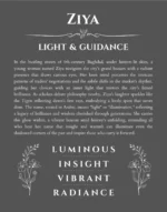 Ziya custom name art showing meaning and origin in gray