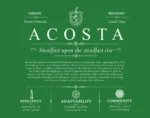 Acosta family name history in Dark Green