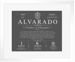 Alvarado surname heritage and history in Gray with White Matte Frame