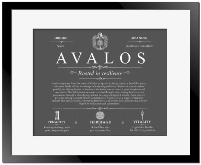 Avalos surname origin and family heritage in Gray with Black Matte Frame