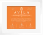 Avila family name origin and history in Orange with White Matte Frame