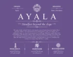 Ayala surname meaning origin and heritage in Purple Ayala surname meaning origin and heritage in Purple
