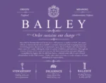 Bailey family name origin and history in Purple