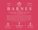 Barnes surname meaning history and origin in Red Barnes surname meaning history and origin in Red