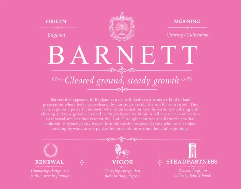 Barnett personalized family surname in Pink