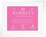 Barnett personalized family surname in Pink with White Matte Frame Barnett personalized family surname in Pink with White Matte Frame