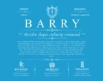 Barry last name origin and heritage in Blue Barry last name origin and heritage in Blue