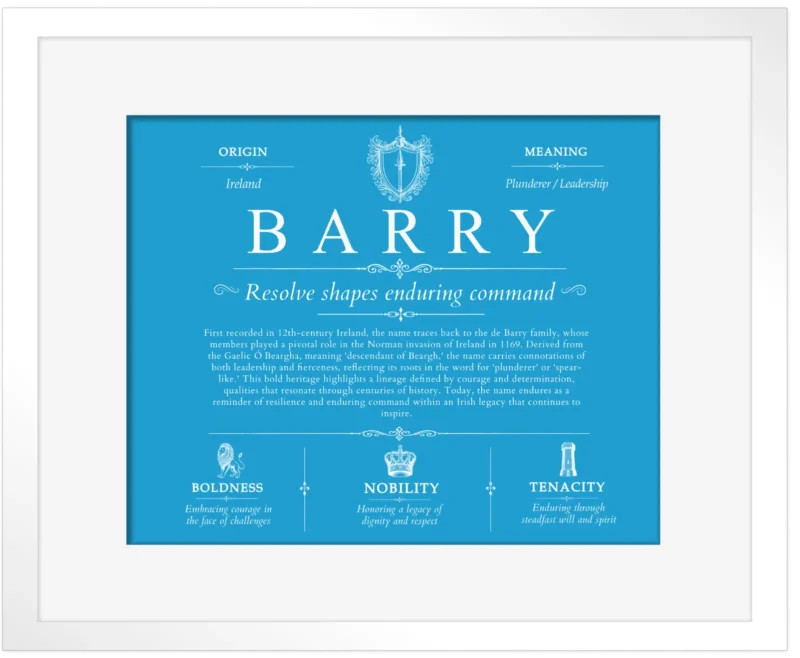 Barry last name origin and heritage in Blue with White Matte Frame