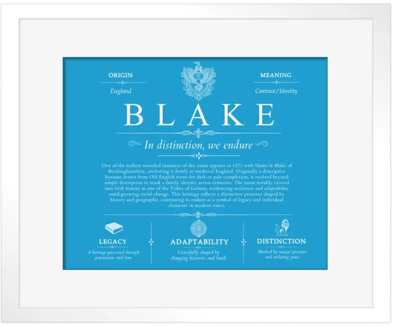 Blake family name meaning and origin in Blue with White Matte Frame