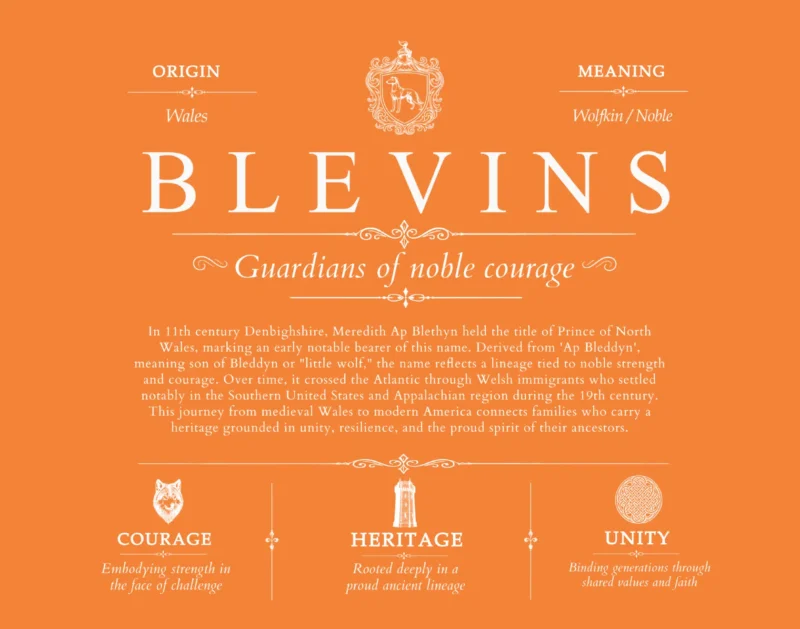 Blevins surname history and family heritage in Orange