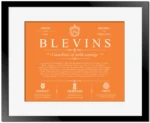 Blevins surname history and family heritage in Orange with Black Matte Frame