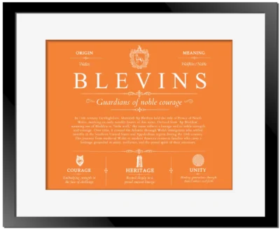 Blevins surname history and family heritage in Orange with Black Matte Frame