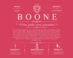 Boone family name heritage in Red Boone family name heritage in Red