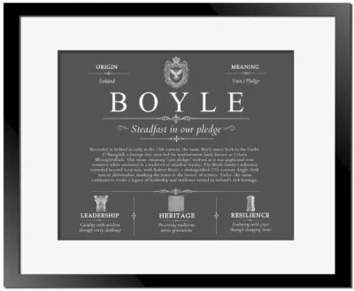 Boyle family name history in Gray with Black Matte Frame