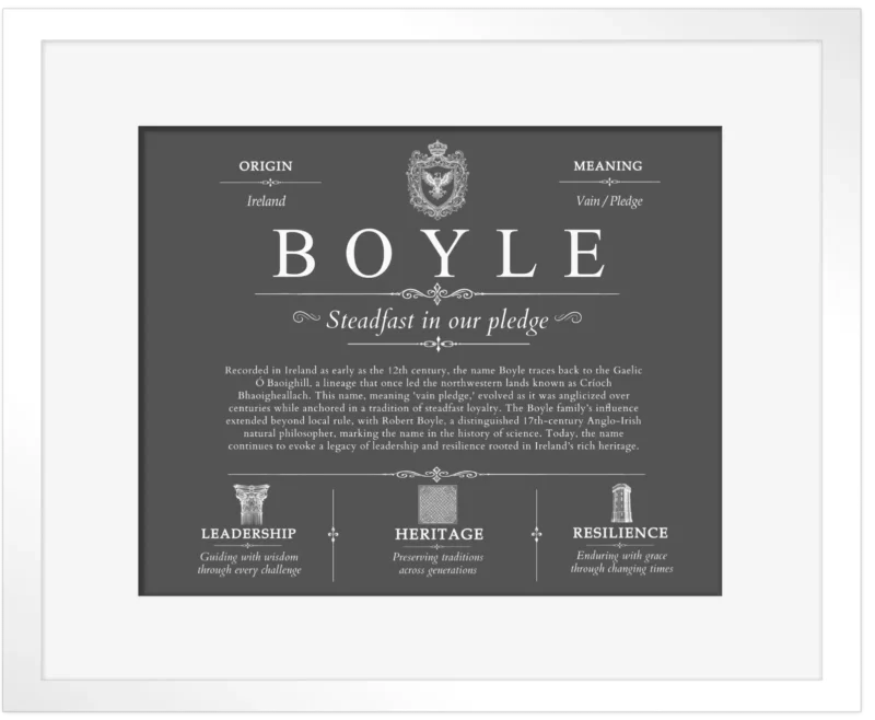 Boyle family name history in Gray with White Matte Frame
