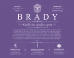 Brady surname meaning history and origin in Purple Brady surname meaning history and origin in Purple