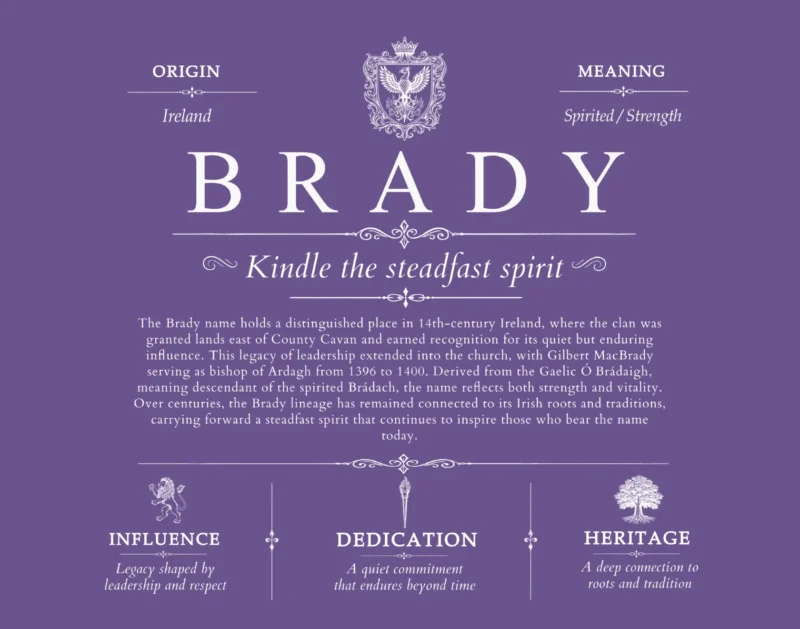 Brady surname meaning history and origin in Purple