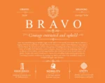 Bravo personalized last name meaning in Orange