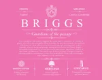 Briggs family name meaning and origin in Pink