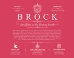 Brock family name origin and history in Red Brock family name origin and history in Red