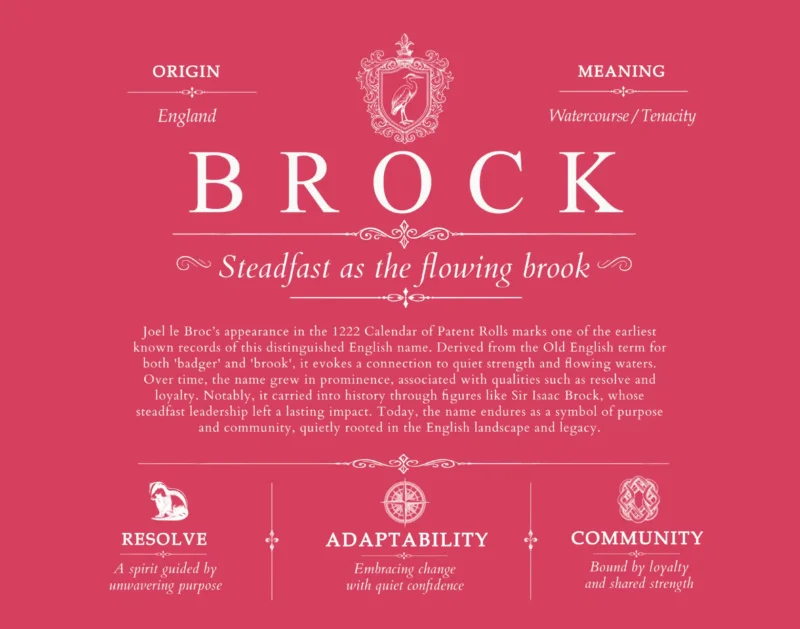 Brock family name origin and history in Red